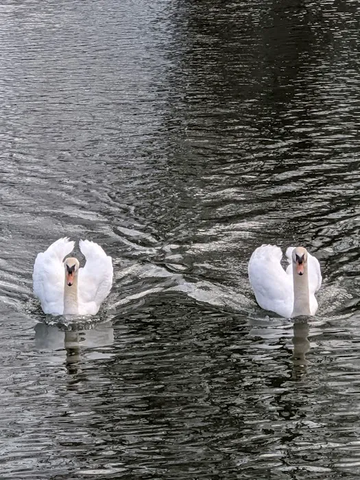 Bogert's Ranch Estates Inc 2