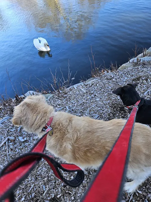 Bogert's Ranch Estates Inc 7