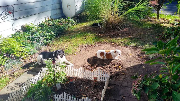 Bogert's Ranch Estates Inc 3