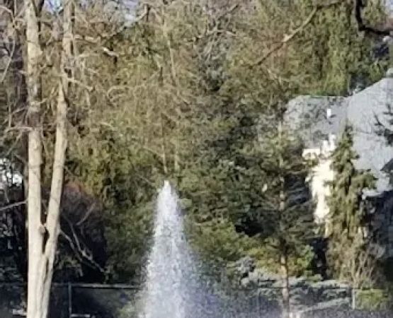 Bogert's Ranch Estates Inc