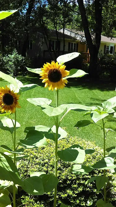 Land O Pines Mobile Home Park 0