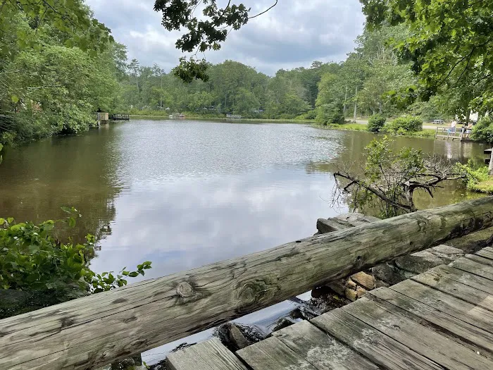 Timberland Lake Campground 1