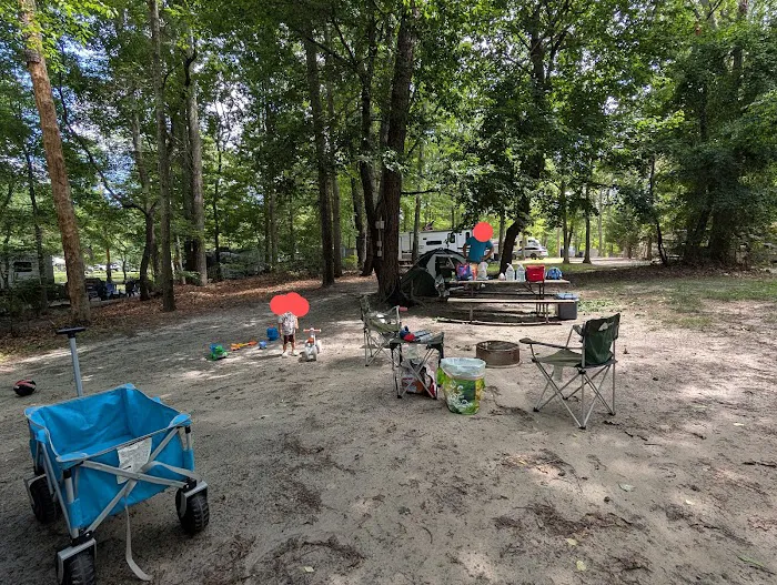 Timberland Lake Campground 8