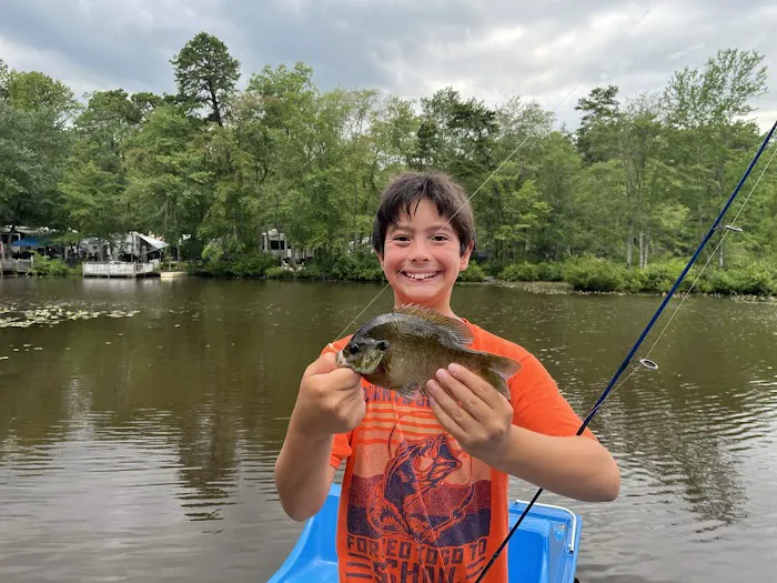 Timberland Lake Campground 2