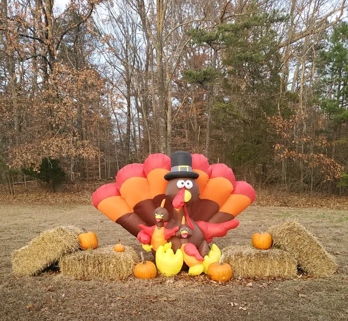 Crystal Springs Wilderness Lodges & RV Resort 3