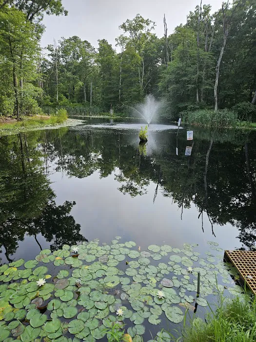 Butterfly Camping Resort 8