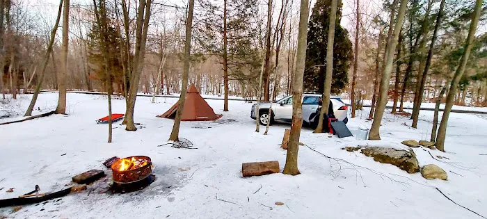 Paradise Valley Homestead 2