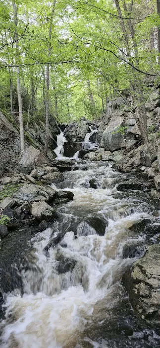 Paradise Valley Homestead 6