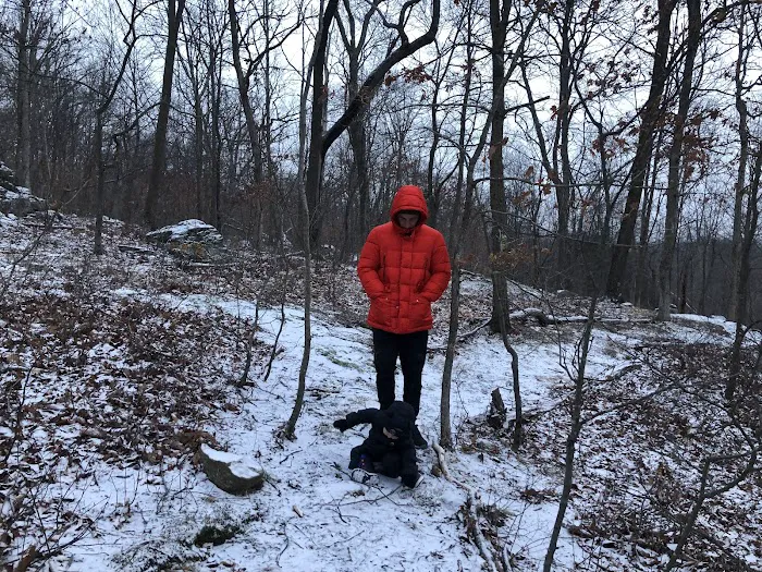 Paradise Valley Homestead 9