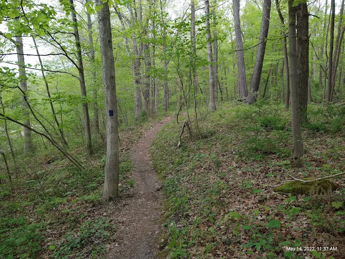 Kittatinny Valley Campsite 2