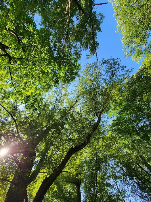 Kittatinny Valley Campsite 9