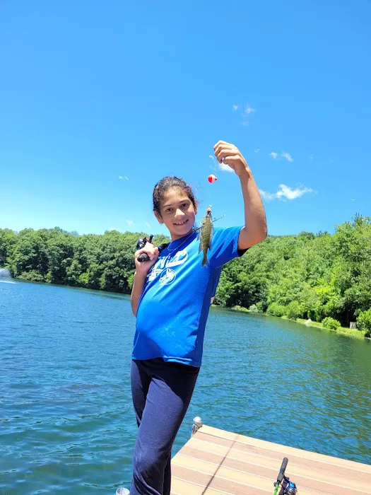 Tall Timbers Property Owners Association 4