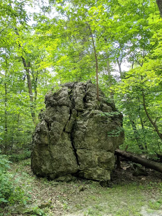 Jenny Jump State Forest Campground 5