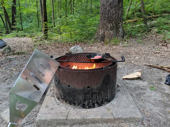 Jenny Jump State Forest Campground 2