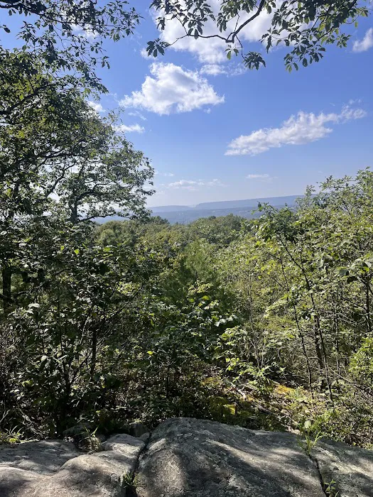 Jenny Jump State Forest Campground 4