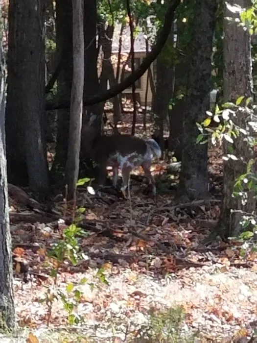 Salvation Army Youth Camp 9