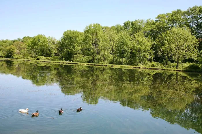 Triplebrook Campground 6