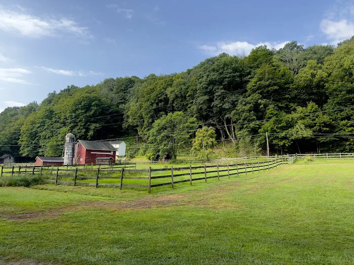 Driftstone Campground 1