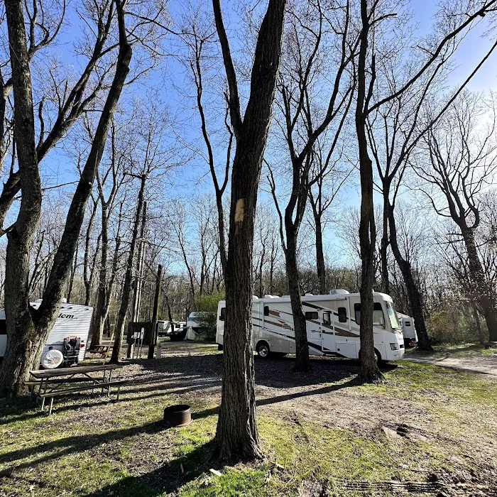 Jugtown Mountain Campsites 9