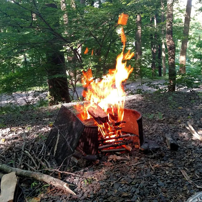 Dogwood Haven Family Campground 8