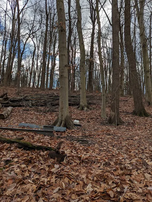 Dogwood Haven Family Campground 1