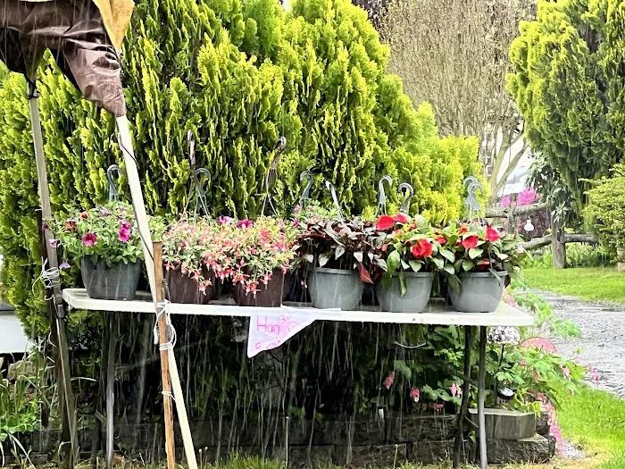 Pohatcong Creek - A Land Lease Community 5