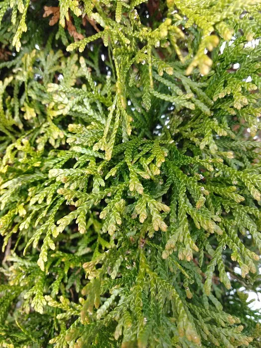 Spring Valley Village Manufactured Home Community 2