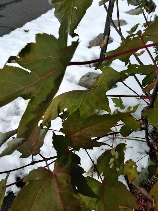 Spring Valley Village Manufactured Home Community 1