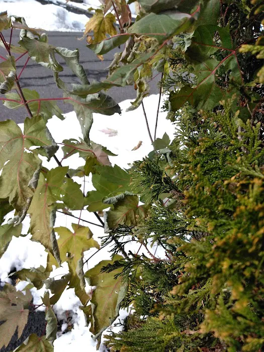 Spring Valley Village Manufactured Home Community 7