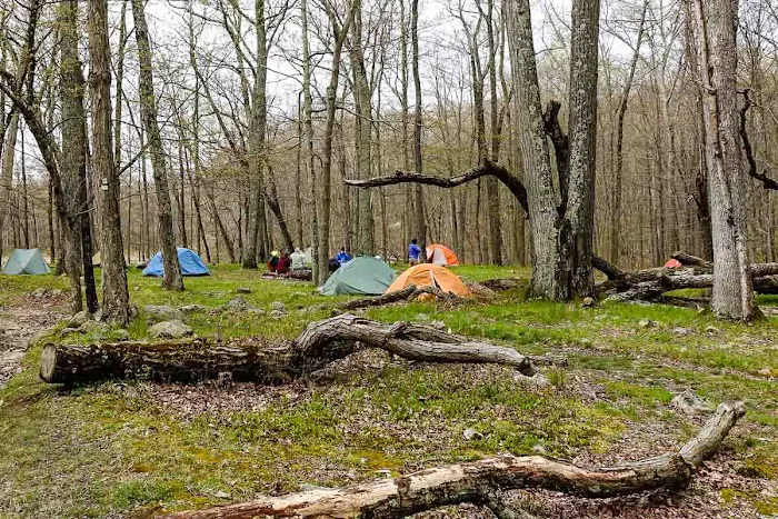 Dutch Doctor Shelter 3