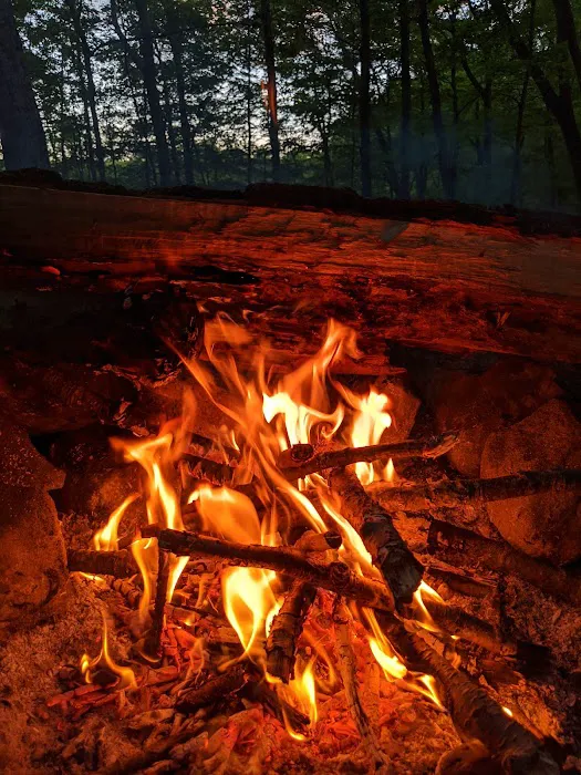 Dutch Doctor Shelter 5