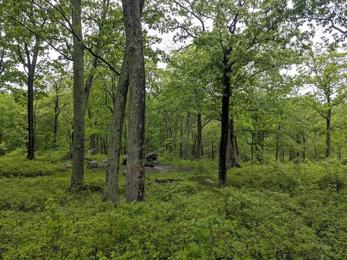 Dutch Doctor Shelter 8