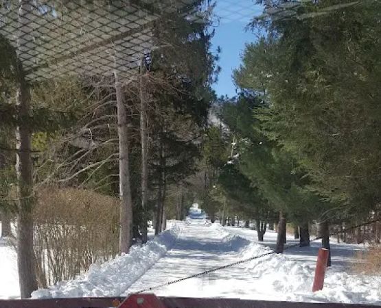 National Camp Association