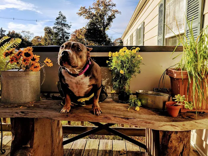 California Village Mobile Home Park 1