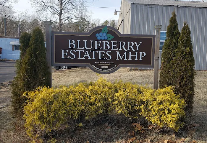 BLUEBERRY STATES MHP 1