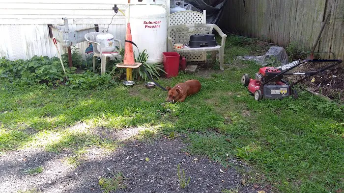 BLUEBERRY STATES MHP 0