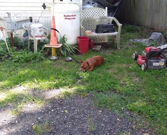 BLUEBERRY STATES MHP