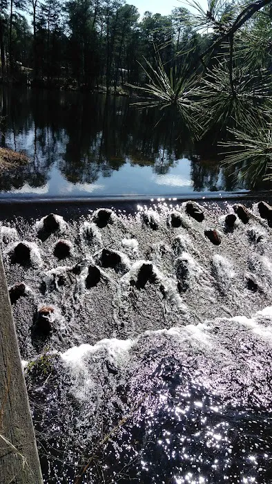 Pine Ridge at Crestwood 5