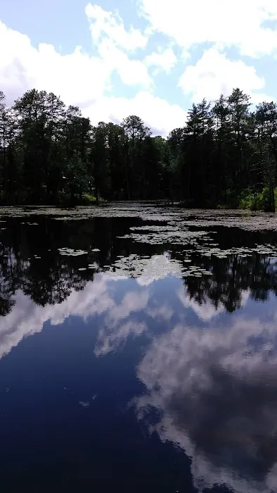 Pine Ridge at Crestwood 7