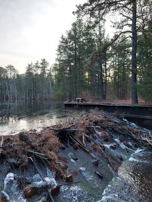 Pine Ridge at Crestwood 4