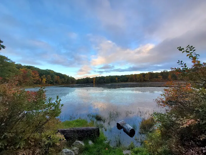 Sawmill Lake Campground 2