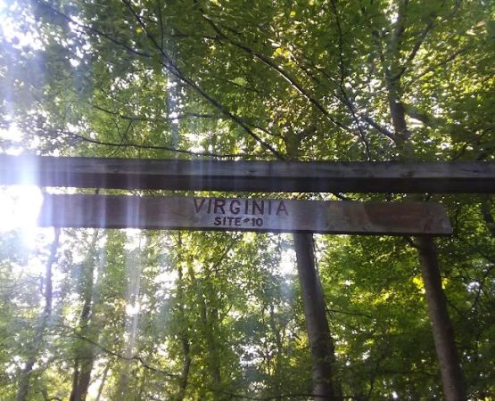 Virginia Site 10