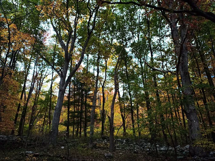 Harmony Ridge Farm & Campground 7