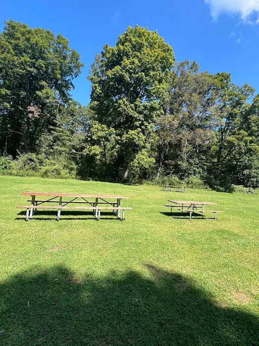 Haskin's Group Campsites 2