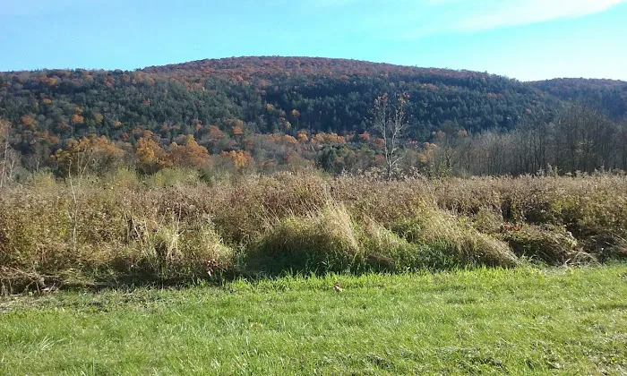 Bear Creek Campgrounds 2