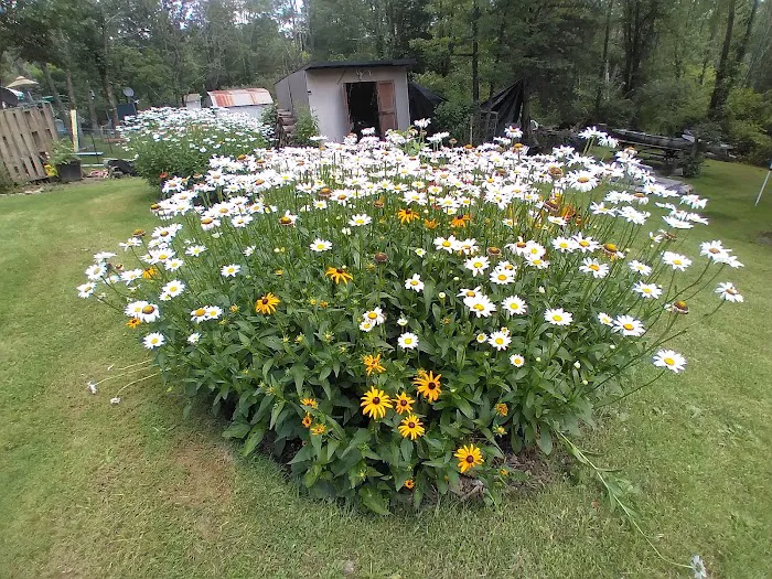 Bear Creek Campgrounds 6