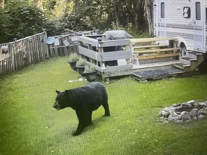 Bear Creek Campgrounds 0