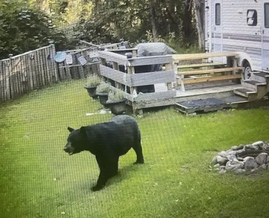 Bear Creek Campgrounds