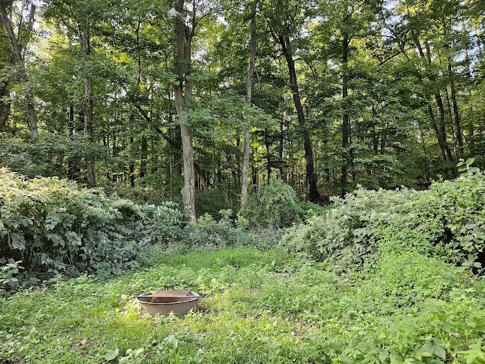 National Park Service - Delaware River - Jerry Lees - Campsites # 33-34 8