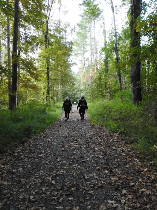 National Park Service - Delaware River - Jerry Lees - Campsites # 33-34 7
